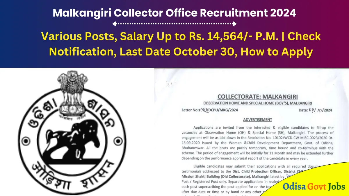 Malkangiri Collector Office Recruitment 2024